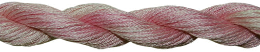 Pink Carnation 11352