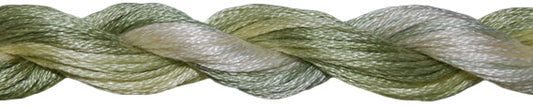Cabbage 1082
