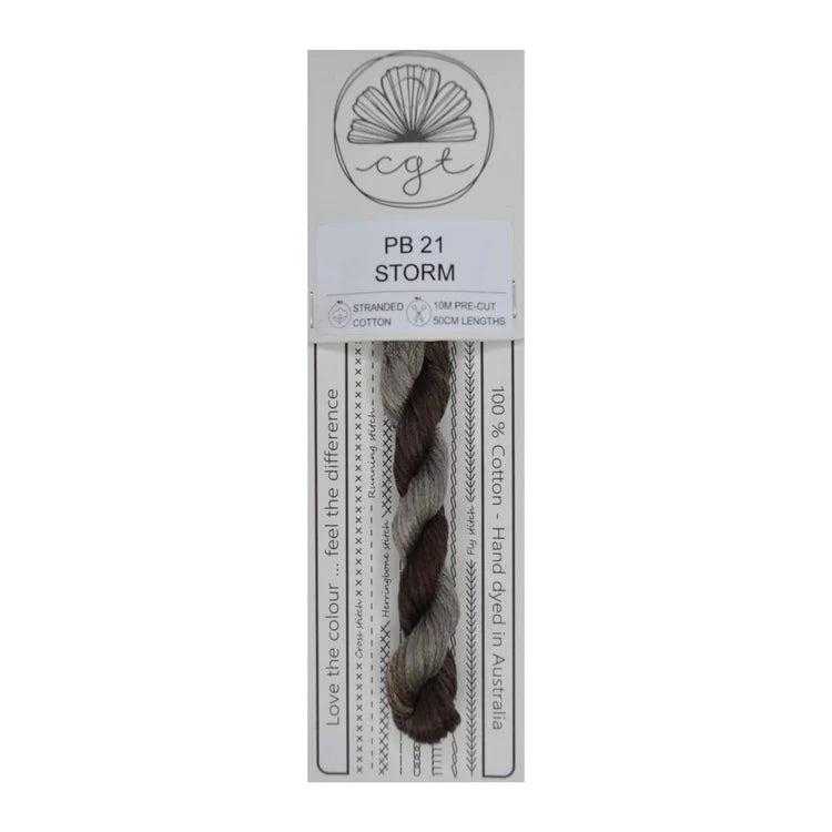 PB21 Storm