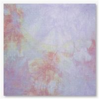 Picture This Plus Fabric Davinci