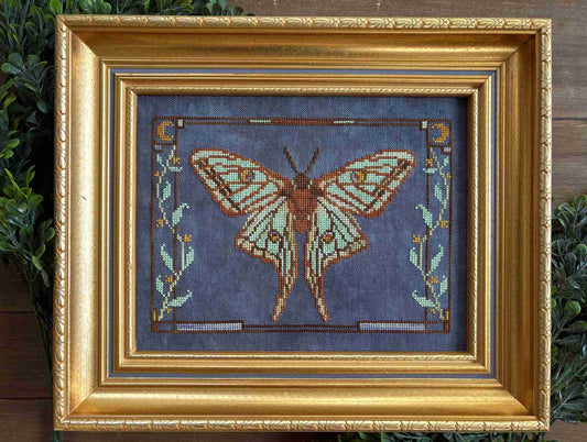 Spanish Moon Moth Pattern