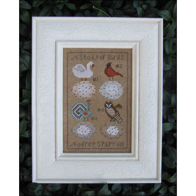 Bird Study Pattern