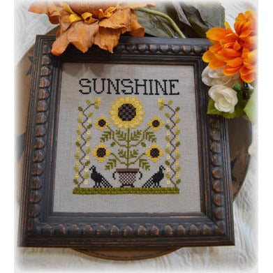 Sunshine Pattern