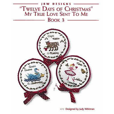 Twelve Days Of Christmas 3 Pattern