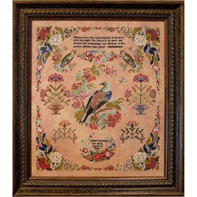 Anne Thomas Pattern