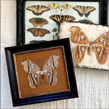 B.R.'s Moth Pattern