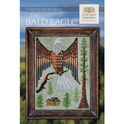Year In The Woods 7 - The Bald Eagle Pattern