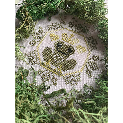 Quirky Quaker Frog Pattern