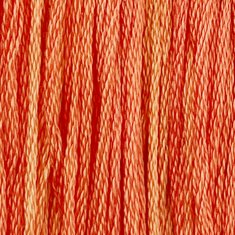 Apricot (Limited Edition)