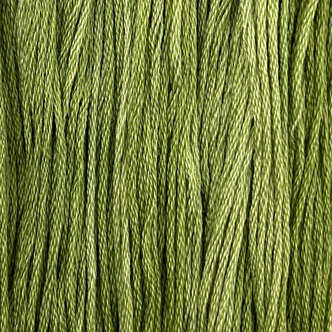 Boxwood