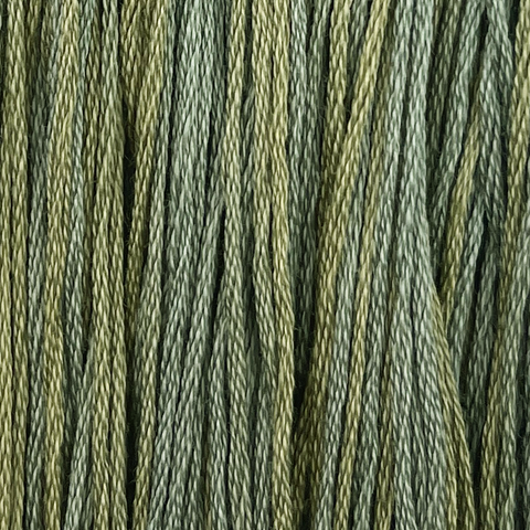 Bracken
