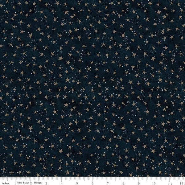CLEARANCE PER YARD Bright Stars Stars Navy by Teresa Kogut #C13106 Navy