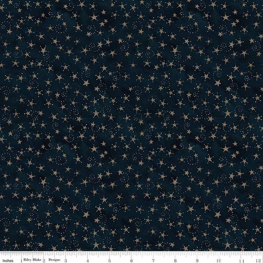 Bright Stars Stars Navy by Teresa Kogut