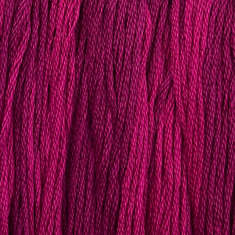 Dahlia