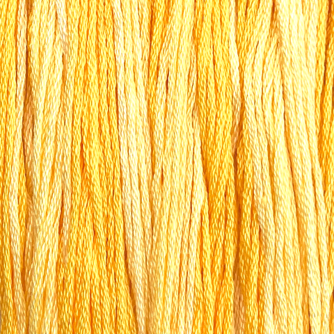 Egg Yolk