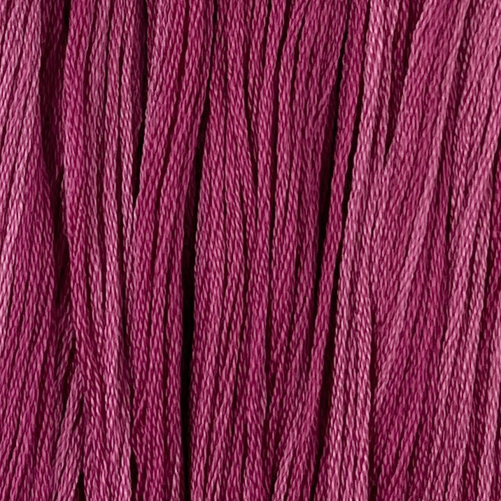 Magnolia