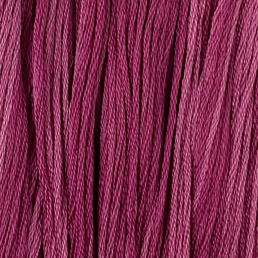 Magnolia