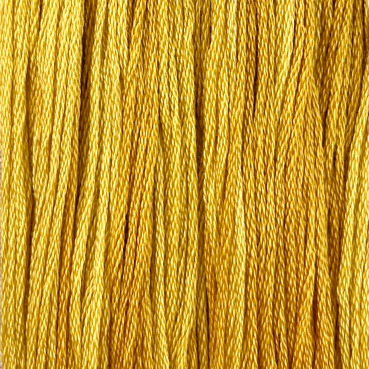 Marigold