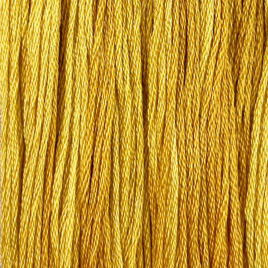 Marigold