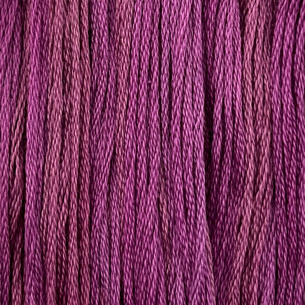 Purple Calla Lily