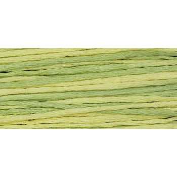 Citronella