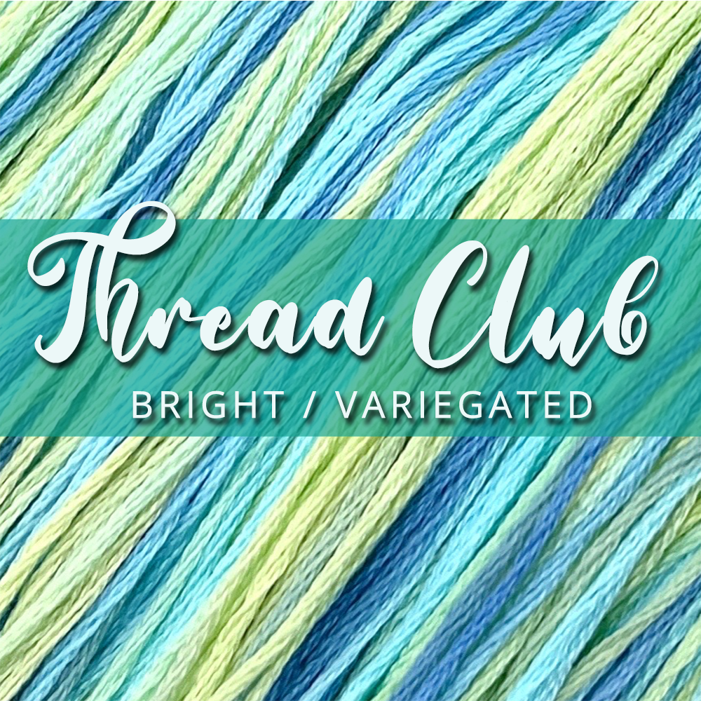 Thread Club Bright and Variegated